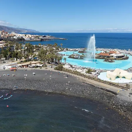 La Tortuga Azul D